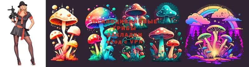 Псилоцибиновые грибы MAGIC MUSHROOMS  Калязин 